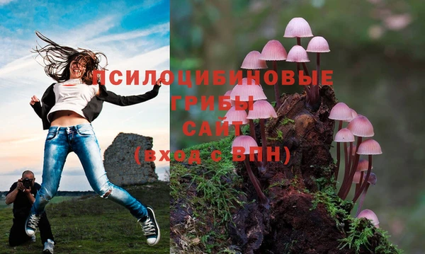 ALPHA PVP Абинск