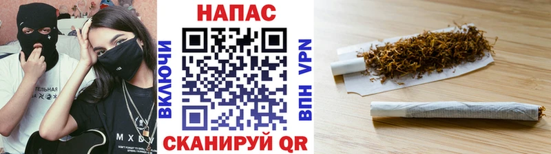 Бошки Шишки ГИДРОПОН  Инта 